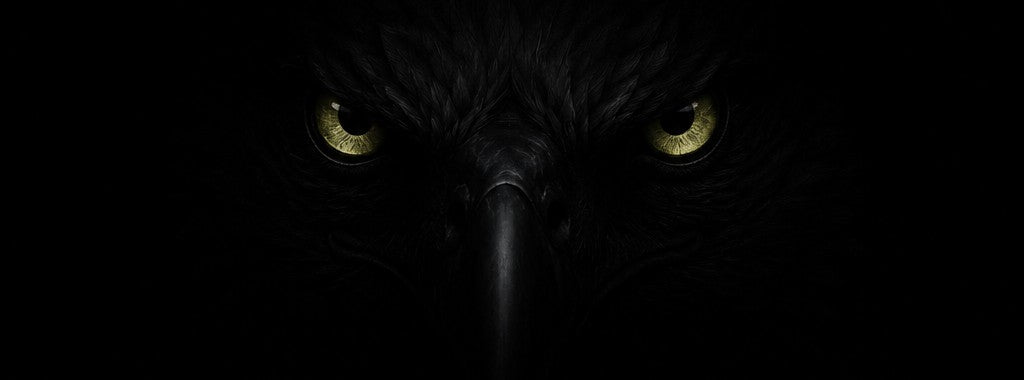 メルマガ登録者先行公開の「TALON EDGE」